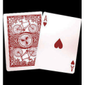Bicycle League Back Rouge