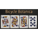 Bicycle Botanica
