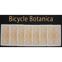 Bicycle Botanica