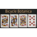 Bicycle Botanica