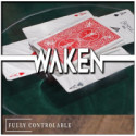 Waken - Bond Lee & MS Magic - Hawin