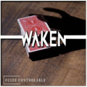 Waken - Bond Lee & MS Magic - Hawin