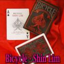 Bicycle Shin Lim