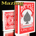 Bicycle Mazing