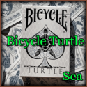 Bicycle Turtle Sea
