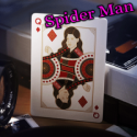 Jeu De Carte SpiderMan - Theory11