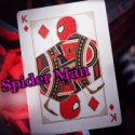 Jeu De Carte SpiderMan - Theory11