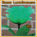 Rose Lumineuse 3 Couleurs - Télécommande