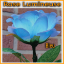 Rose Lumineuse 3 Couleurs - Télécommande