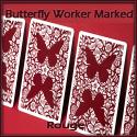 Butterfly Worker Marked Red - Ondrej Psenicka