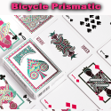 Bicycle Prismatic