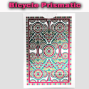Bicycle Prismatic