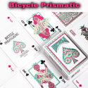 Bicycle Prismatic