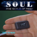 Soul - Wenzi