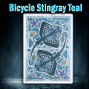 Bicycle Stingray Teal