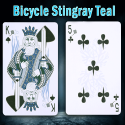 Bicycle Stingray Teal