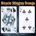 Bicycle Stingray Orange