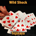Wild Shock - Tejinaya