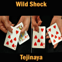 Wild Shock - Tejinaya
