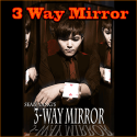 Miroir Triptyque - Close-up Mirror - Sean Yang