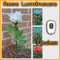 Rose Lumineuse 3 Couleurs - Télécommande