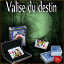 N°23 Valise Du Destin - Le Petit Magicien