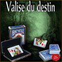 N°23 Valise Du Destin - Le Petit Magicien