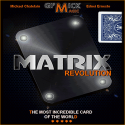 Matrix Révolution Bleu - Michael Chatelain