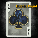 Bicycle Cupid