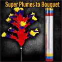 Super Plumes En Bouquet