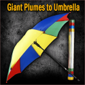Giant Plumes En Umbrella