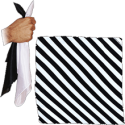 Zebra Silk Blendo