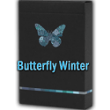 Butterfly Season Marked Winter - Ondrej Psenicka