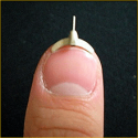 Nail Writer - Swami Gimmick