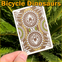 Bicycle Dinosaurs