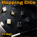Hopping Dice - TCC