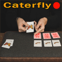 Caterfly - Rouge - Jordan Victoria