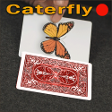 Caterfly - Rouge - Jordan Victoria