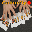 Caterfly - Rouge - Jordan Victoria
