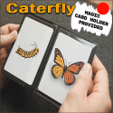 Caterfly - Rouge - Jordan Victoria