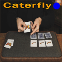 Caterfly - Bleu - Jordan Victoria