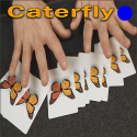 Caterfly - Bleu - Jordan Victoria