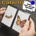 Caterfly - Bleu - Jordan Victoria