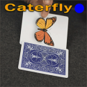 Caterfly - Bleu - Jordan Victoria