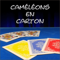 Cameleon En Carton - Philippe Molina