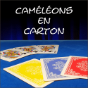 Cameleon En Carton - Philippe Molina