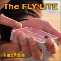 The Fly Lite - Marcos Waldemar