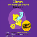 Citrus Billet Dans Le Kiwi - Nordine