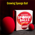 Growing Sponge Ball Red