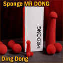 Magic Sponge MR Dong